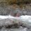 2006 Kayaking Season