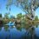 23rd April 2017: Avon River