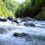 1st February 2026: Ashley River